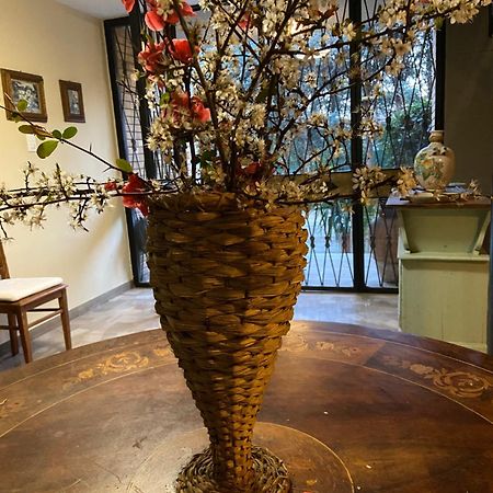 Basisa Bed&Breakfast 萨韦纳河畔圣拉扎罗 外观 照片